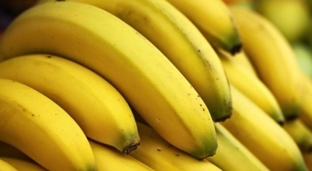     Sainte-Lucie exporte des bananes vers la France à titre expérimental

