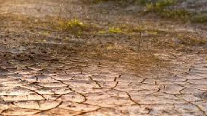     Une indemnisation de 760 000 euros accordée aux exploitations agricoles affectées par la sécheresse de 2019


