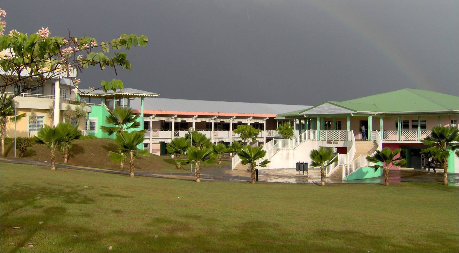     La Guadeloupe fait bonne figure dans les classements des lycées

