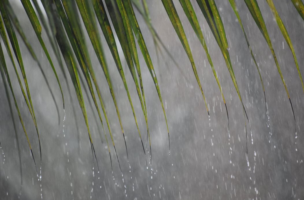     Une onde tropicale apporte de la pluie en Martinique

