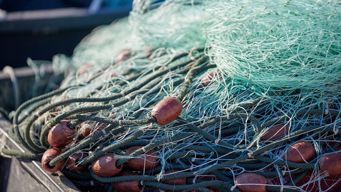     Blocages : de l'opportunisme pour le comité des pêches

