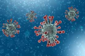     Des cas de coronavirus confirmés dans les Îles du Nord

