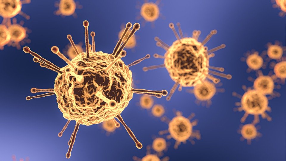     Coronavirus : pas de nouveaux cas signalés

