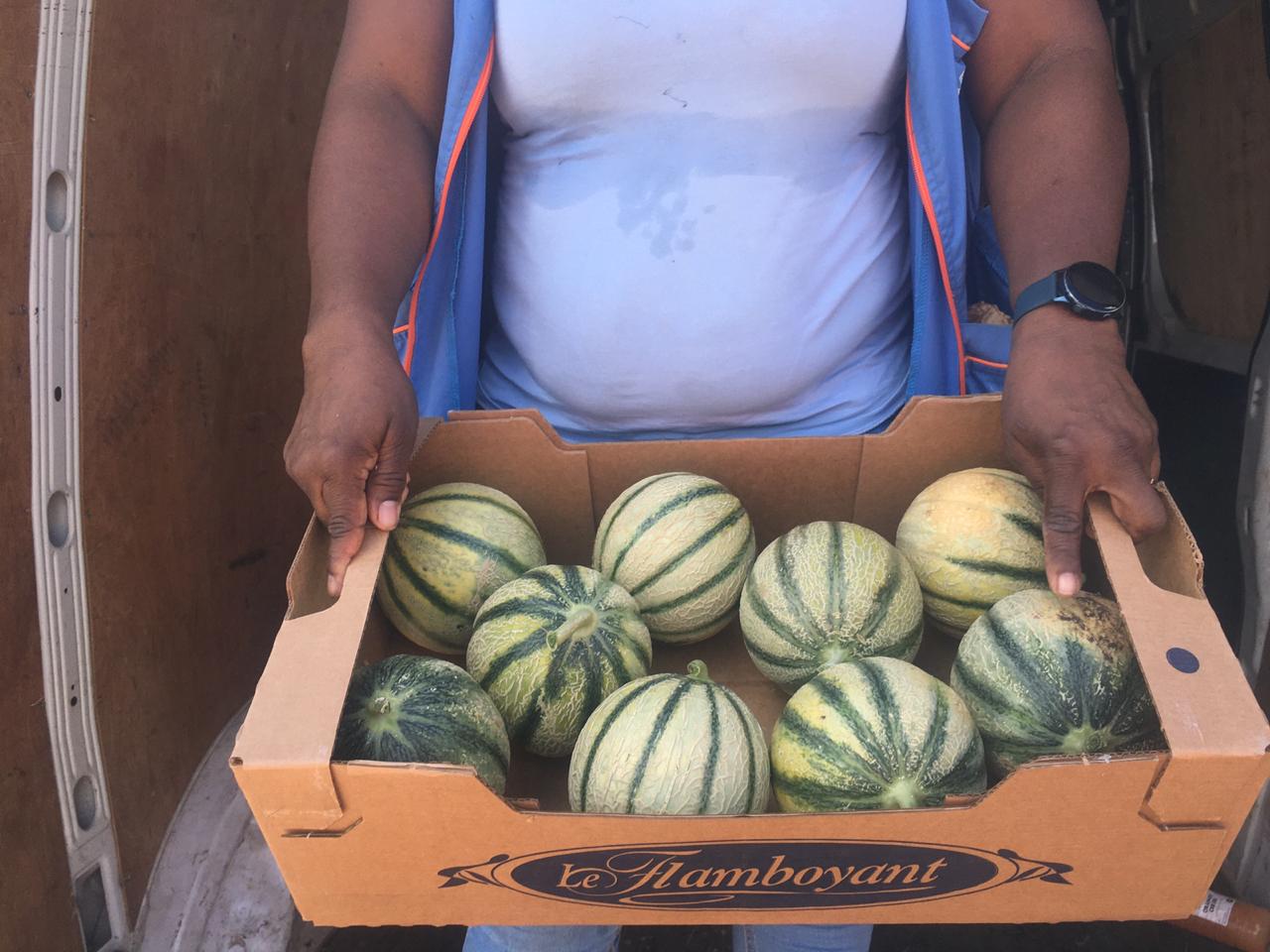     Des melons : les producteurs cassent les prix

