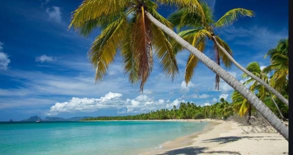     Septaine à l'arrivée en Martinique : le secteur du tourisme accuse le coup

