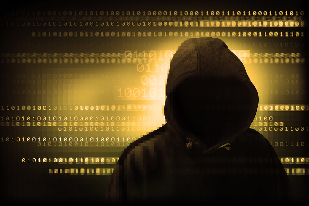     Des hackers pro-russes ont piraté le site de l’Assemblée nationale et du Sénat

