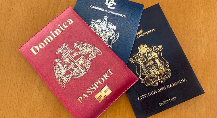     Covid-19 : l'achat de passeport en plein essor, notamment aux Caraïbes

