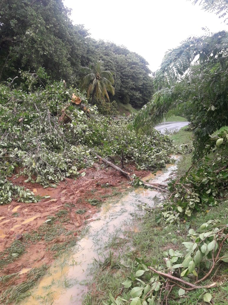 Vigilance orange : de nouveaux dégâts à déplorer cette nuit en Martinique