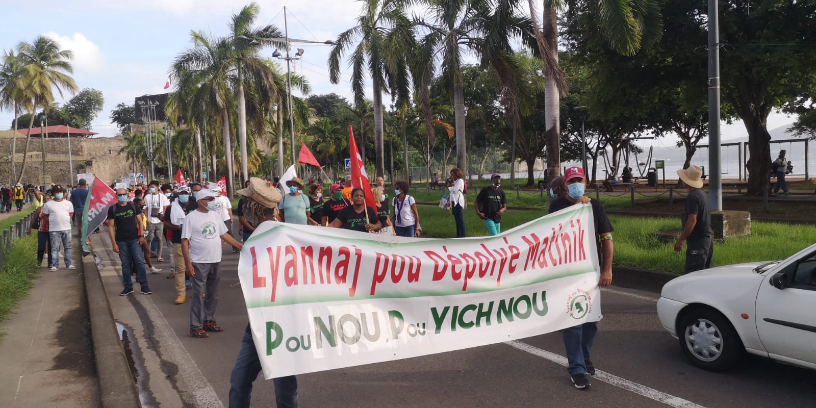     Les militants anti-chlordécone manifestent , malgré le confinement 

