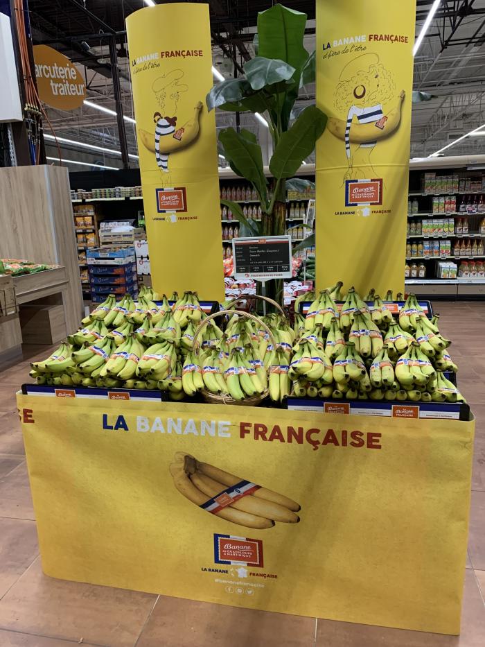 Banane Guadeloupe Martinique