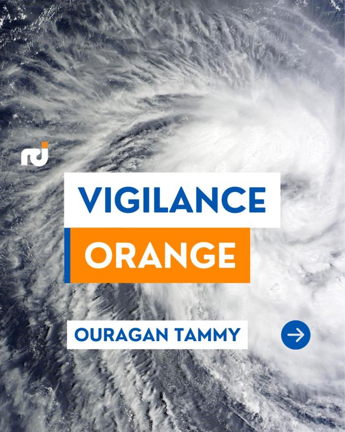 vigilance Orange
