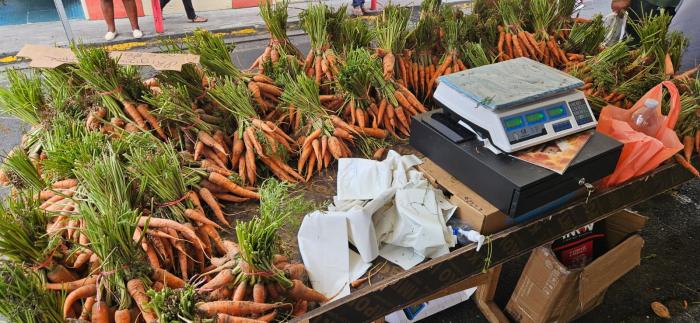 opération carottes locales