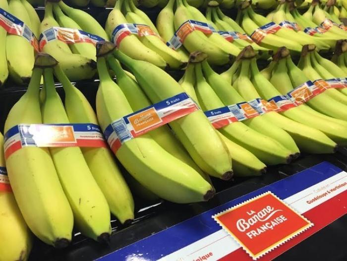     Cap 100 000 tonnes de bananes : un programme pour former des ouvriers rapidement opérationnels

