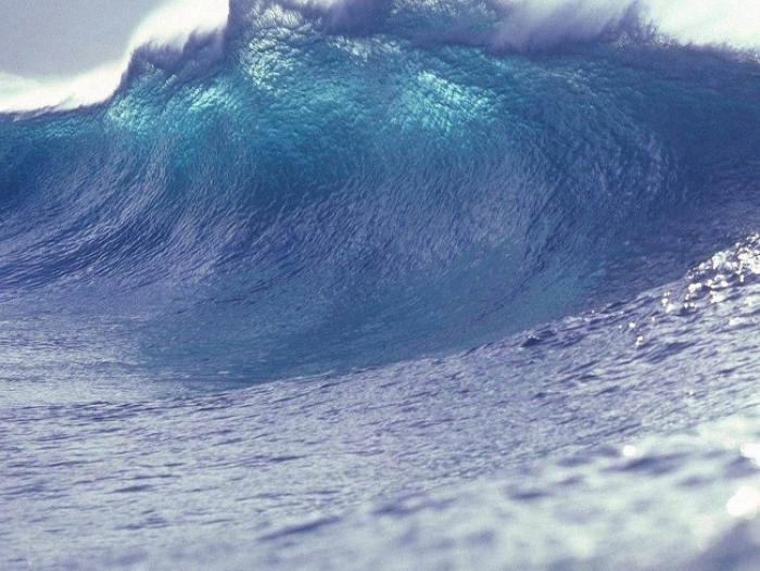     Caribe Wave 2016: Un exercice grandeur nature pour mieux se préparer au risque de tsunami

