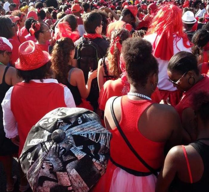     Carnaval 2015 : bientôt la fin 

