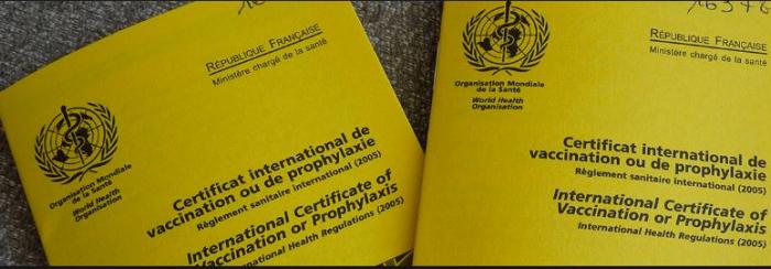    Deuxième cas de fièvre jaune en Guyane en un an

