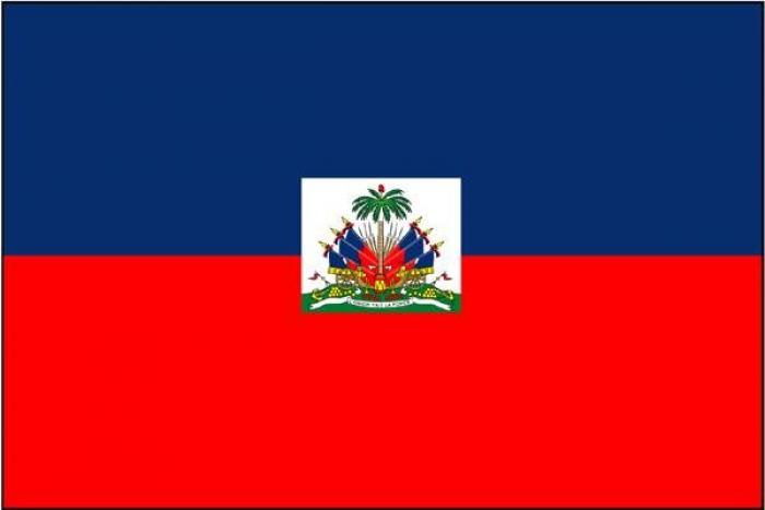     Faible participation au 1er Tour des élections en Haïti 

