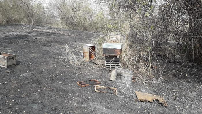     Incendie à Sainte-Luce : une centaine de ruches détruite par les flammes


