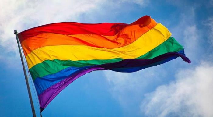     Journée mondiale contre l'homophobie et la transphobie

