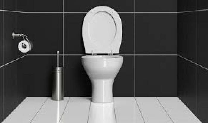     Journée mondiale des toilettes ce lundi 19 novembre ! 

