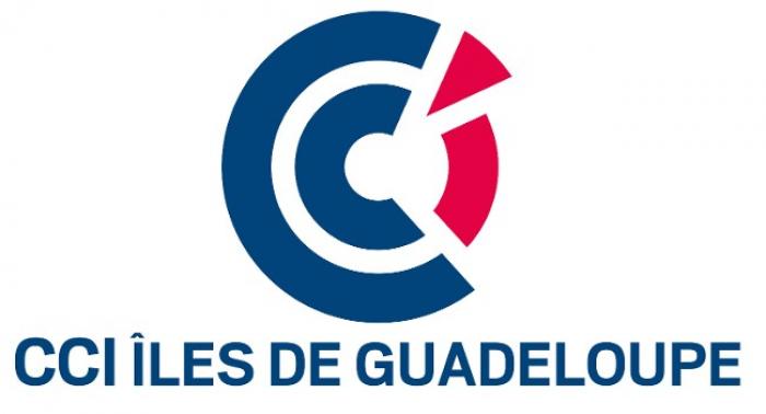     La liste "Ensemble pour l’entreprise des îles de Guadeloupe" prend la tête de la CCI

