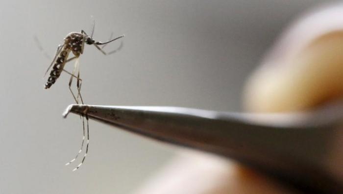     Zika : Le laboratoire Sanofi se lance dans la course au vaccin

