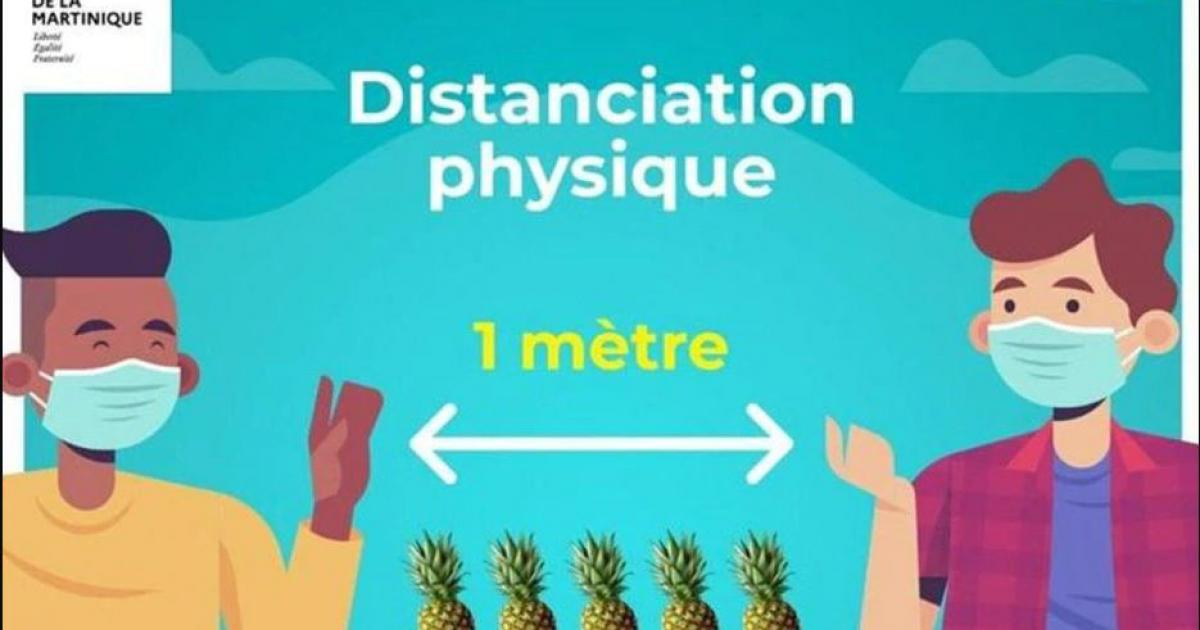 Calendrier 2023 Ananas Le Procès De L'affiche Aux Ananas Se Tiendra En Février 2023